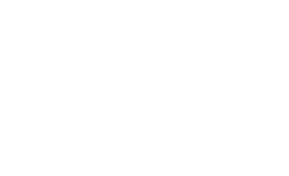 logo SAF blanc
